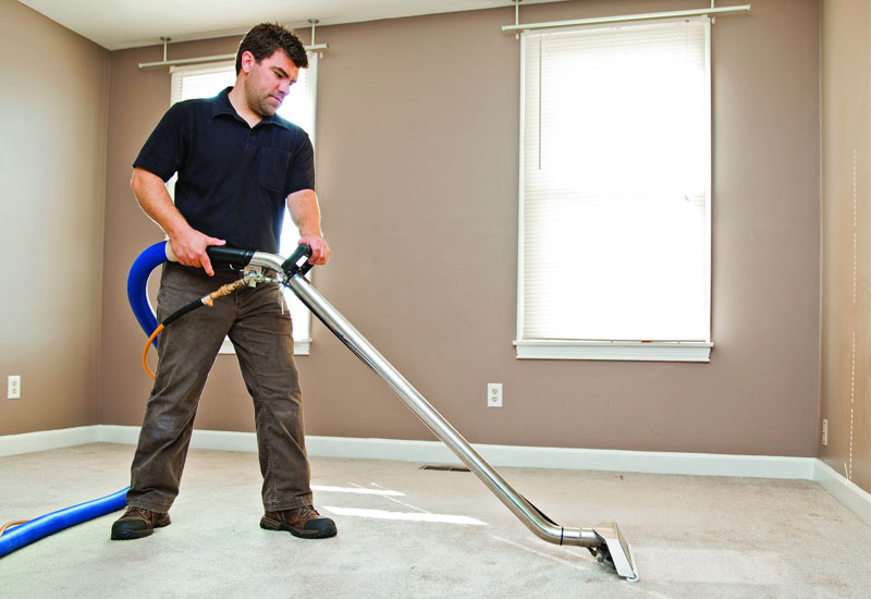 need carpet cleaning jobs